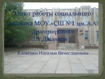Презентация социального педагога Опыт работы