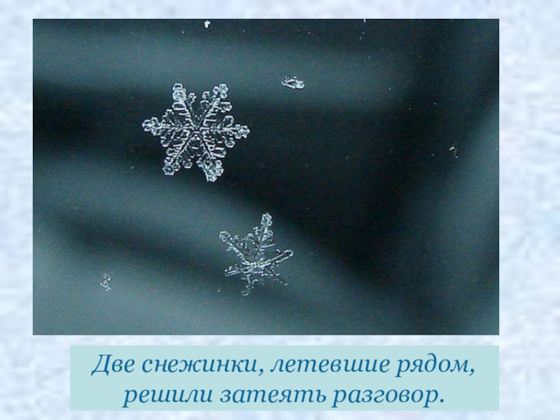 Две снежинки. Растаявшая Снежинка. Снежинка на ладони. Снежинки в полёте.