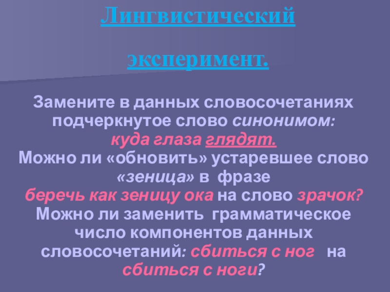 Лингвистика 11