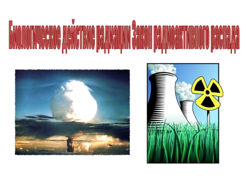 Доклад по теме Закон радиактивного распада