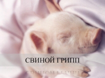 Свиной грипп