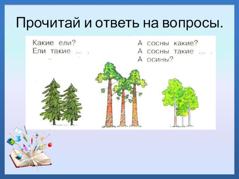 Ели на вопрос какие. Прочитай и ответь на вопросы. Ответь на вопрос сосны какие. Ели какие а сосны а осины. Ответь на вопрос какие ели какие.