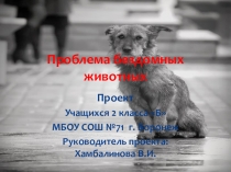 Презентация. Проблема бездомных животных.
