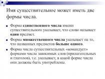 Урок русского языка Грамматические формы и грамматическое значение числа имени существительного для 4 класса