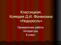 Презентация по литературе  Проверочная работа по теме Классицизм. Комедия Д.И.Фонвизина Недоросль, 8 класс