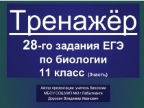 Презентация по биологии на тему: Генетика. Тренажёр 28-го задания ЕГЭ- часть 3 (11класс