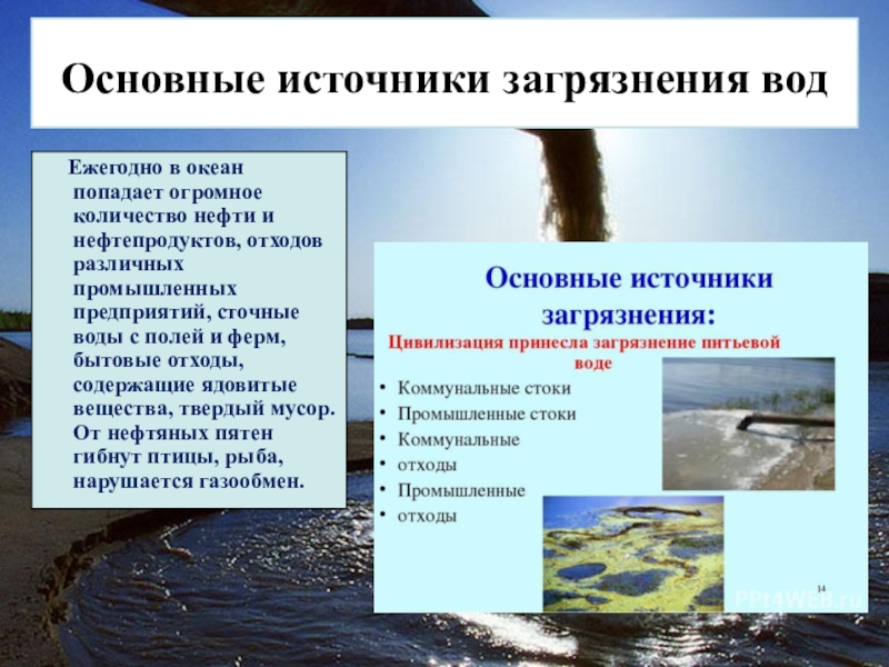 Проект загрязнение воды 8 класс