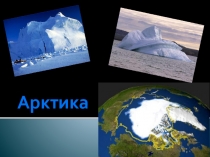 Первая презентация к уроку Виртуальное путешествие по Арктике