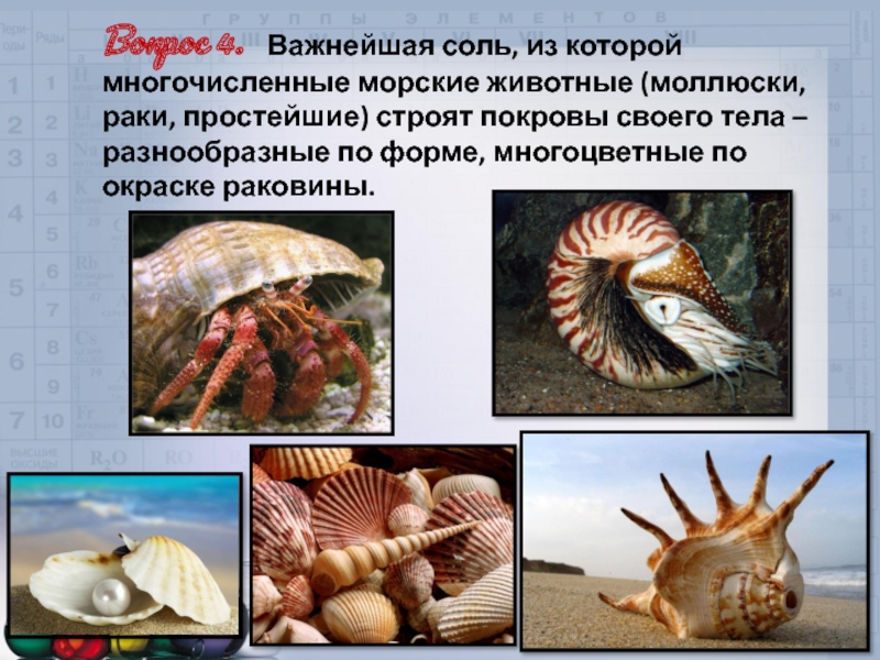 Вопрос 4.  Важнейшая соль, из которой многочисленные морские животные (моллюски, раки, простейшие) строят покровы своего тела