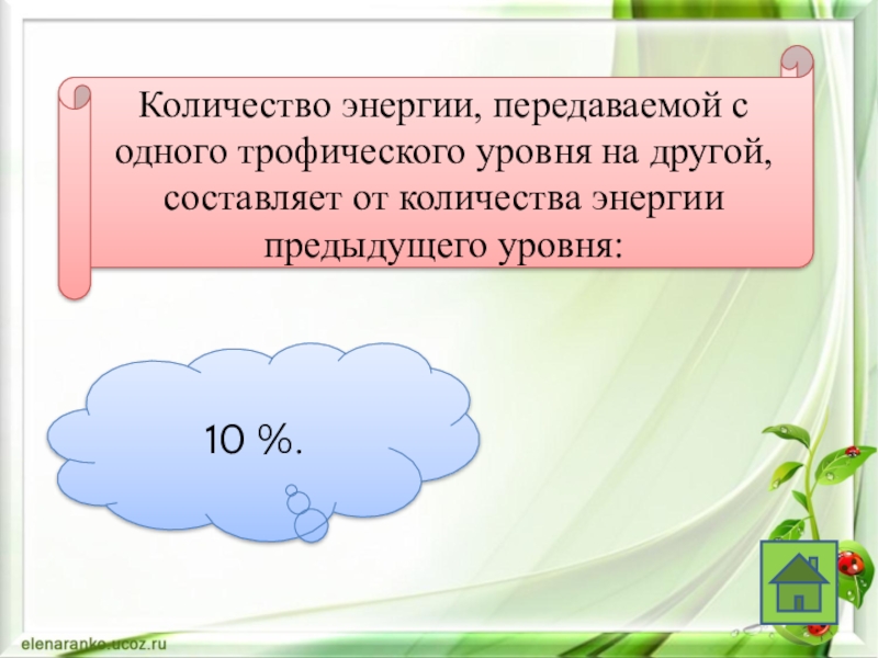 сколько энергии проходит с одного трофического уровня на другой. поток энергии формула. кол во энергии. количество энергии. количество э.