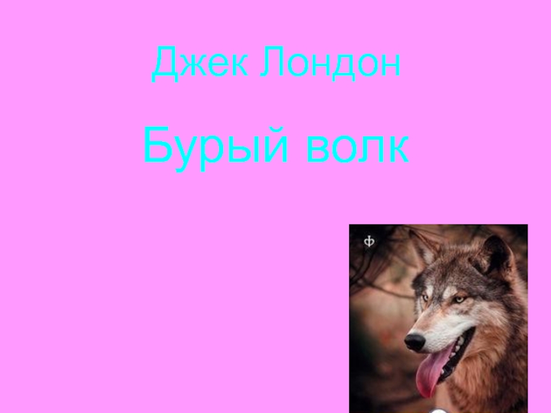 Волк 3 класс. Бурый волк Джек Лондон. Рассказ бурый волк. Дж Лондон бурый волк. Дж Лондон бурый волк 3 класс.