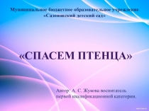 Презентация к интегрированному занятию в подготовительной к школе группе по ФЭМП и Обучению грамоте Спасем птенца.