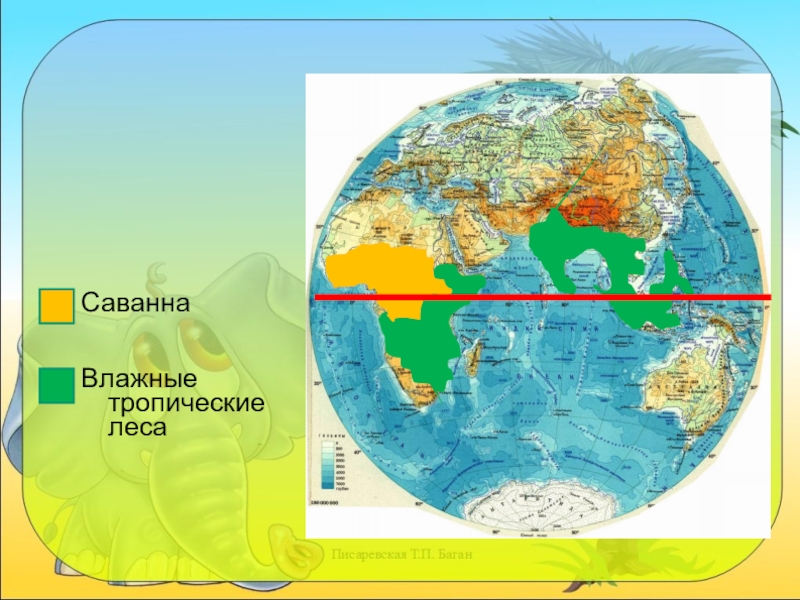 Покажите на карте тропики. Саванны и тропические леса на карте. Саванна и тропический лес на глобусе. Саванна и тропический лес на карте. Саванна и тропические леса на карте мира.