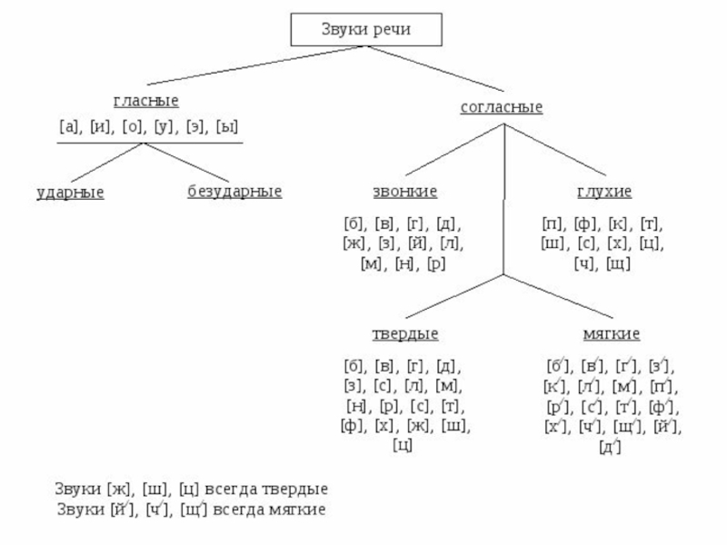 Рисунок по теме фонетика