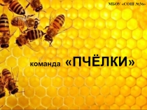 Презентация на интеллектуальный конкурс.Визитка команды Пчелки
