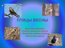 Презентация к внеклассному мероприятию, уроку окружающего мира Птицы весны