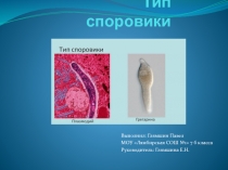 Урок, Презентация Тип споровики