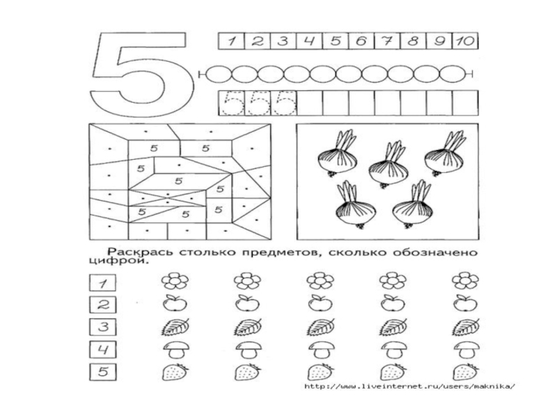 Презентация цифра 5 число 5 для дошкольников