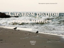 Презентация социального проекта Сделаем родной город чище