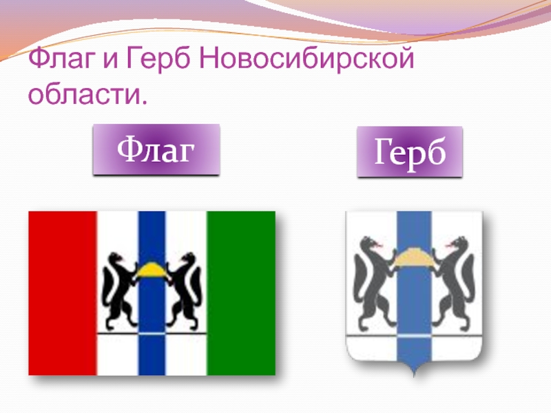 Герб и флаг новосибирской области картинки