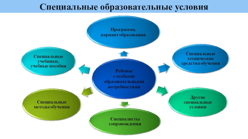 Методы образования лиц с овз схема