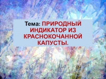 Презентация по биологии на тему:  Природный индикатор из краснокочанной капусты.