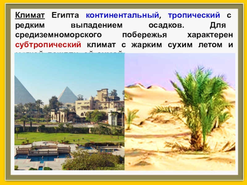 Какой климат в египте 5 класс