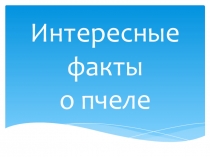 Факты о пчеле