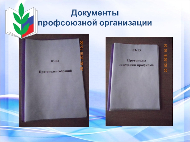 Папка с протоколом картинка