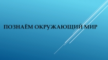 Презентация по окружающему миру на тему : Полезные ископаемые ( 4 класс)