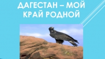 Презентация к классному часу Дагестан - мой край родной