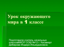 Презентация по окружающему мируЗдоровейск 1 класс