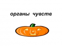 Презентация по окружающему миру Органы чувств