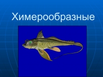 Презентация по теме Химерообразные