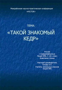 Проект Такой знакомый кедр