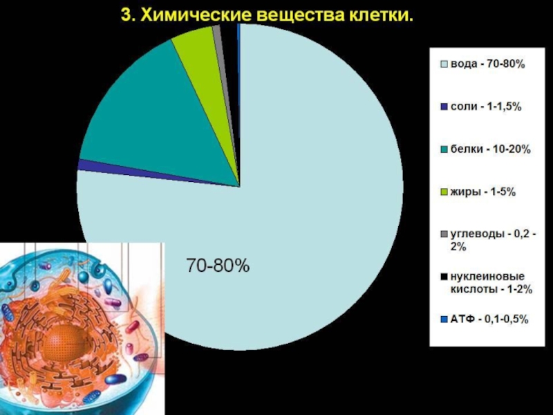 На диаграмме представлено содержание основных химических веществ в клетках растений и животных