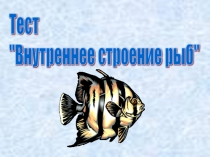 Презентация Размножение и развитие рыб