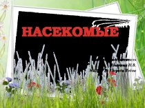 Презентация по познавательному развитию: Письмо для Незнайки