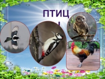 Презентация к внеклассному занятию Птицы счастья