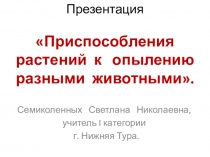 Презентация по биологии на тему Приспособления растений к опылению разными животными.