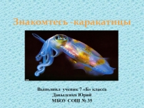 Презентация по теме Каракатицы