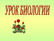 Презентация Вегетативное размножение растений