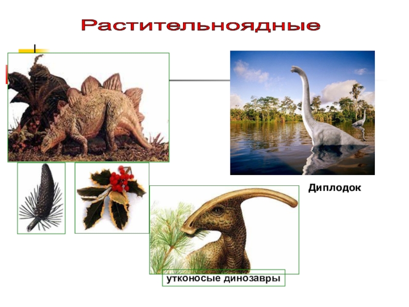 Проект динозавры 1 класс