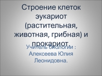 Презентация по биологии для 10 класса Строение клеток эукариот (растительной, животной и грибной) и прокариот