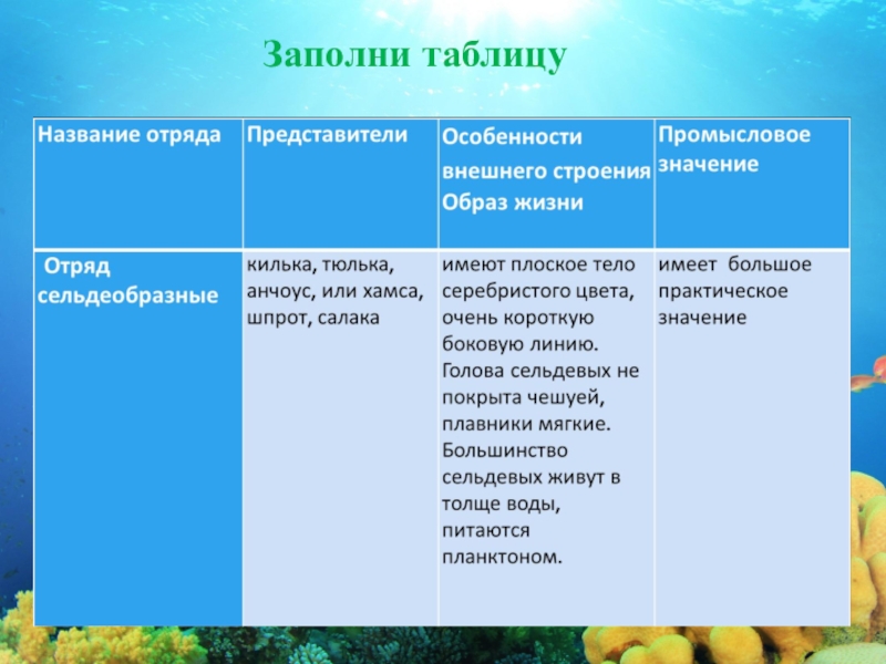 Особенности названия. Таблица по биологии 7 класс отряд Сельдеобразные. Признаки отряда Сельдеобразные. Отряд особенности строения представители. Отряды рыб таблица.