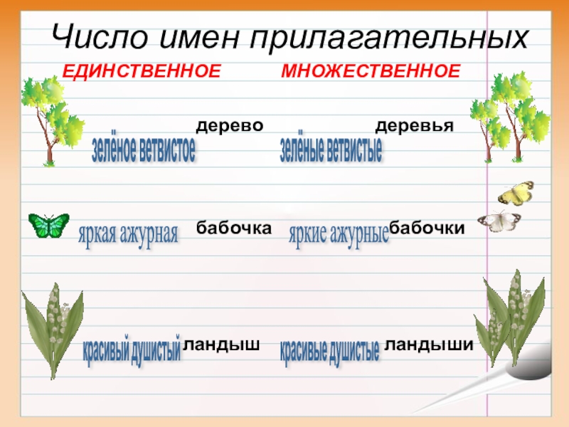 Деревья прилагательные. Дерево имя прилагательное. Деревья в единственном числе. Ландыш какой прилагательные. Прилагательное к слову Ландыш.