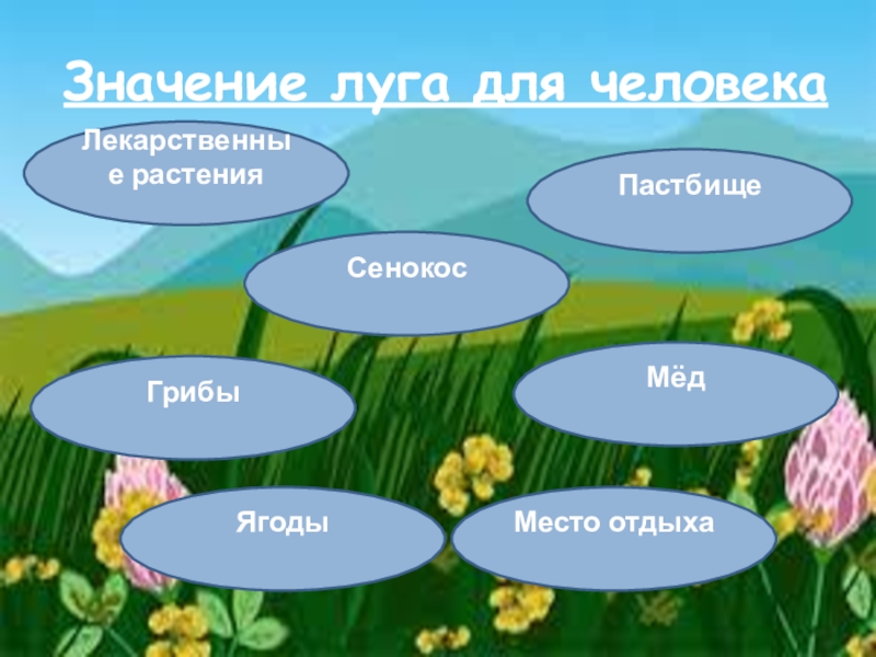 Человек и мир растения