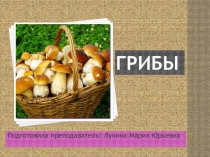 Грибы