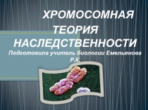 Презентации по биологии на темы: Дигибридное скрещивание Хромосомная теория наследственностиМетоды исследования генетики человека