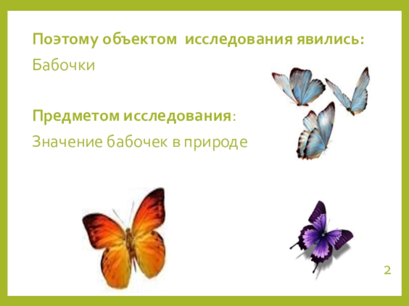 Что значит бабочка. Бабочка исследовательская работа. Значение бабочек в природе. Исследование бабочек. Практическое значение бабочек.